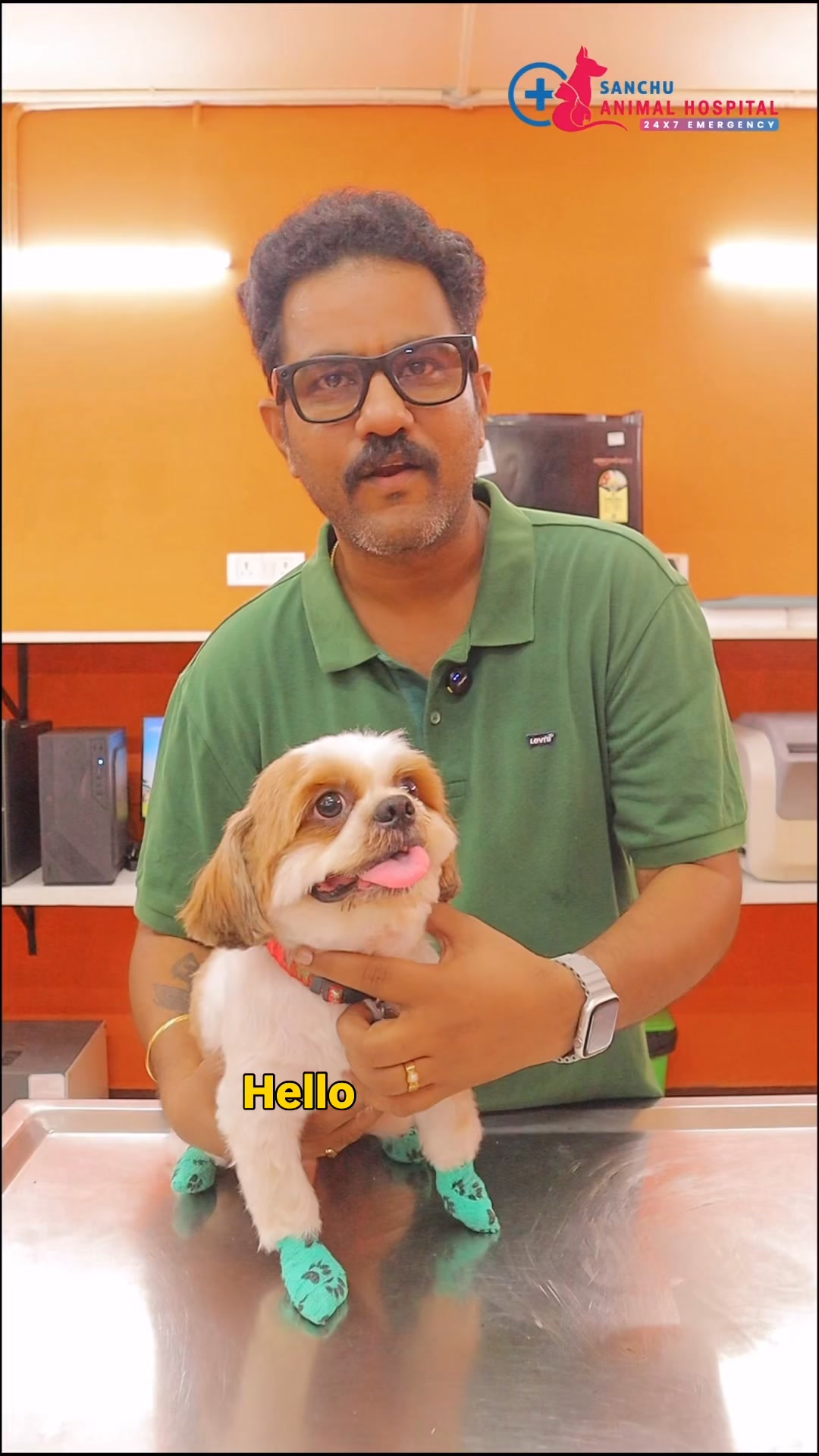Sanchu Animal Hospital Facebook ad: A happy pet.