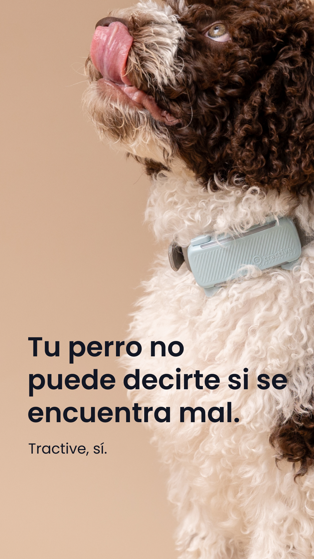 Tractive Facebook ad