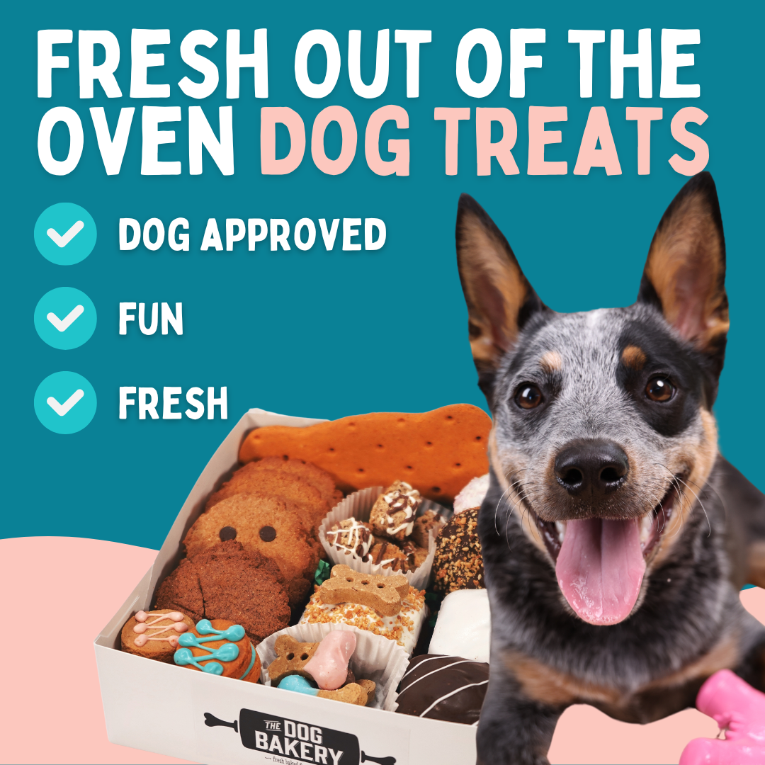 The Dog Bakery Facebook ad