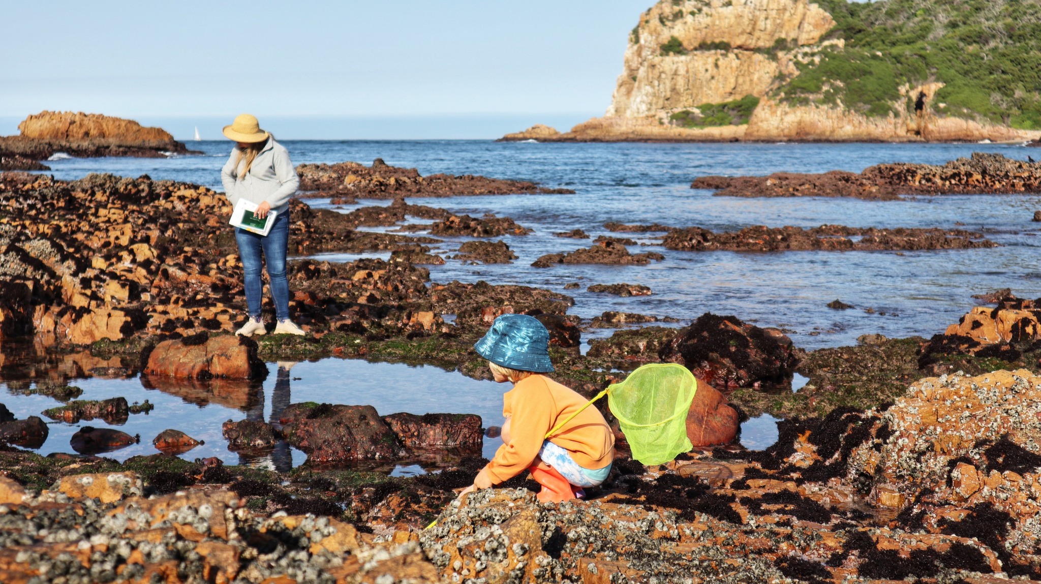 Knysna Oyster Festival Facebook ad from Jun 5, 2026