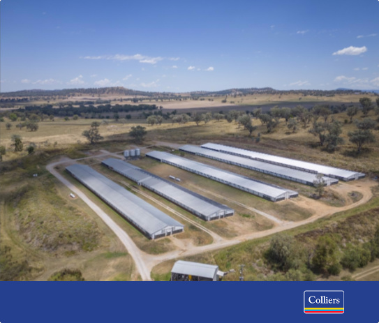Commercial Real Estate Featured Properties Facebook ad