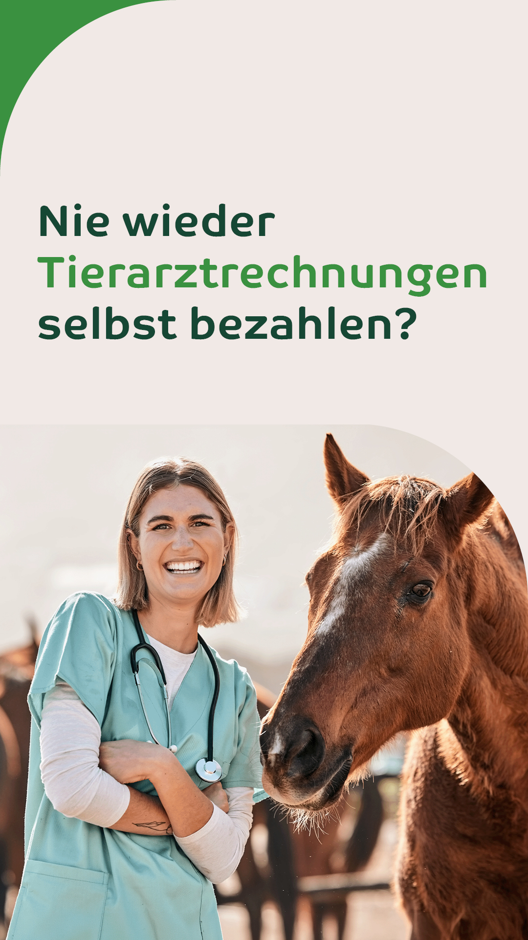 Uelzener Versicherungen Facebook ad
