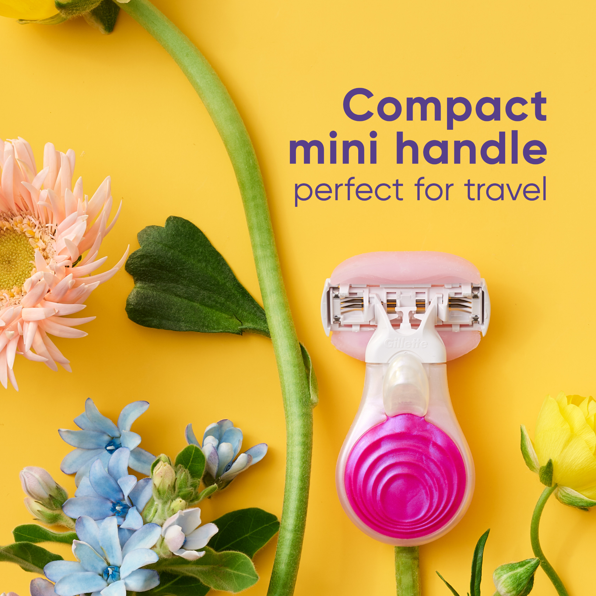 Gillette Venus Facebook ad