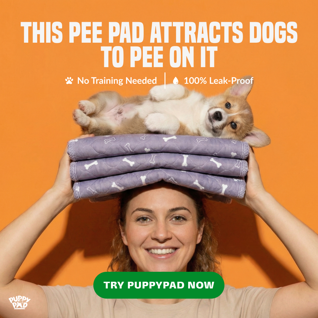 PuppyPad Facebook ad
