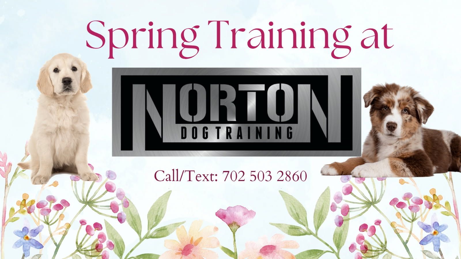 Norton Dog Training Facebook ad: SPRING TRAINING, NEW SEASON, NEW BEGINNINGS
