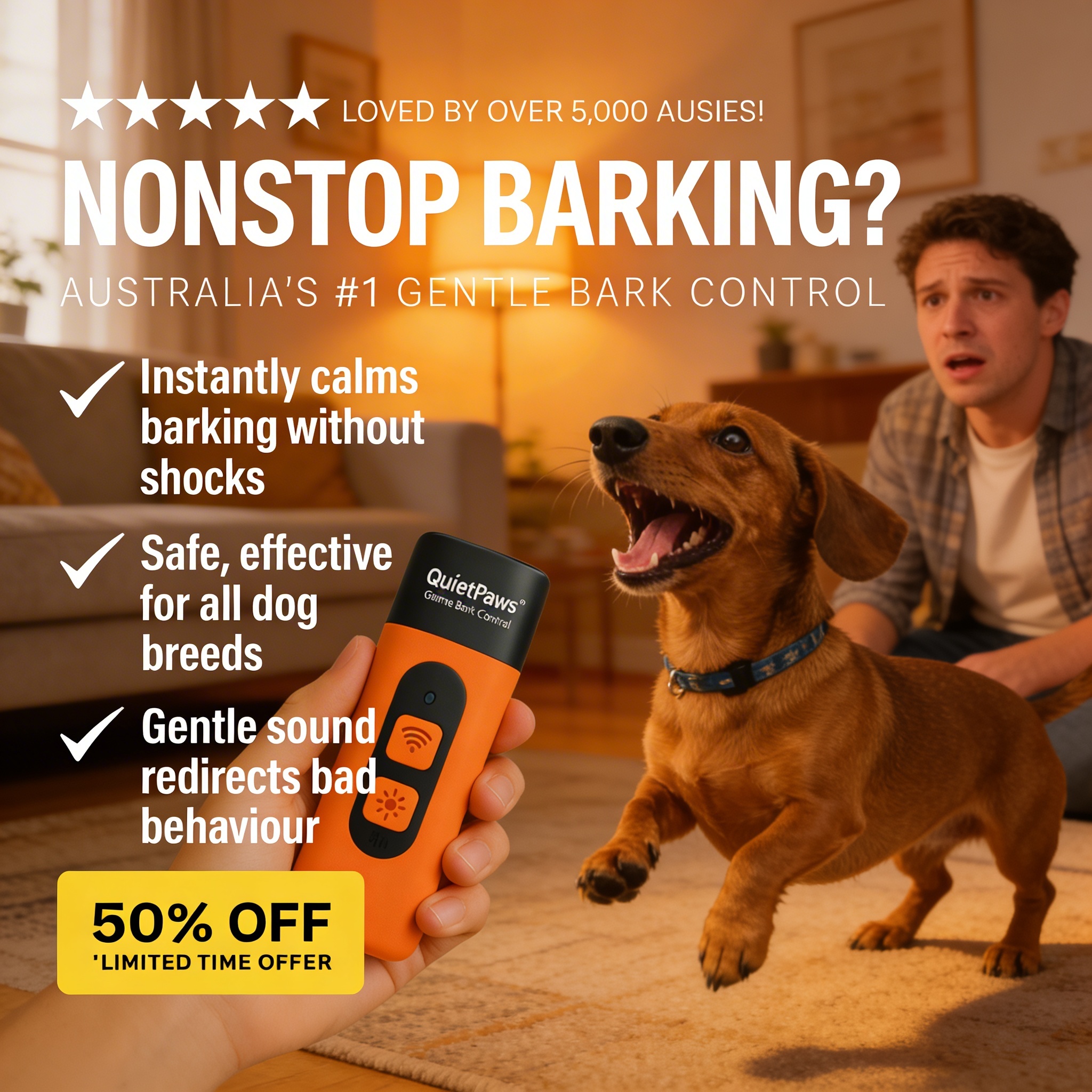 Hunters Doggy Daycare Facebook ad