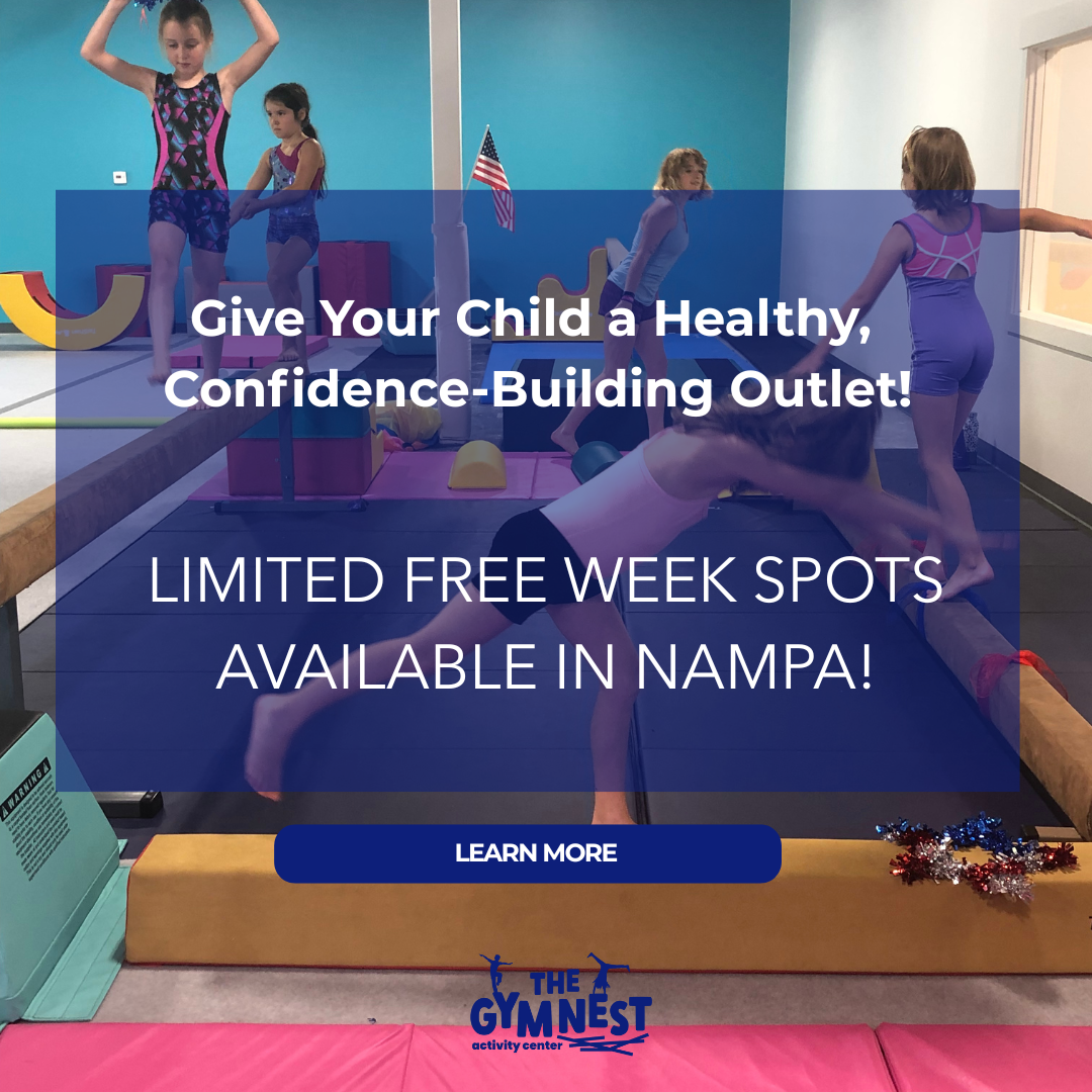 The Gym Nest Nampa Facebook ad from Jan 9, 2026