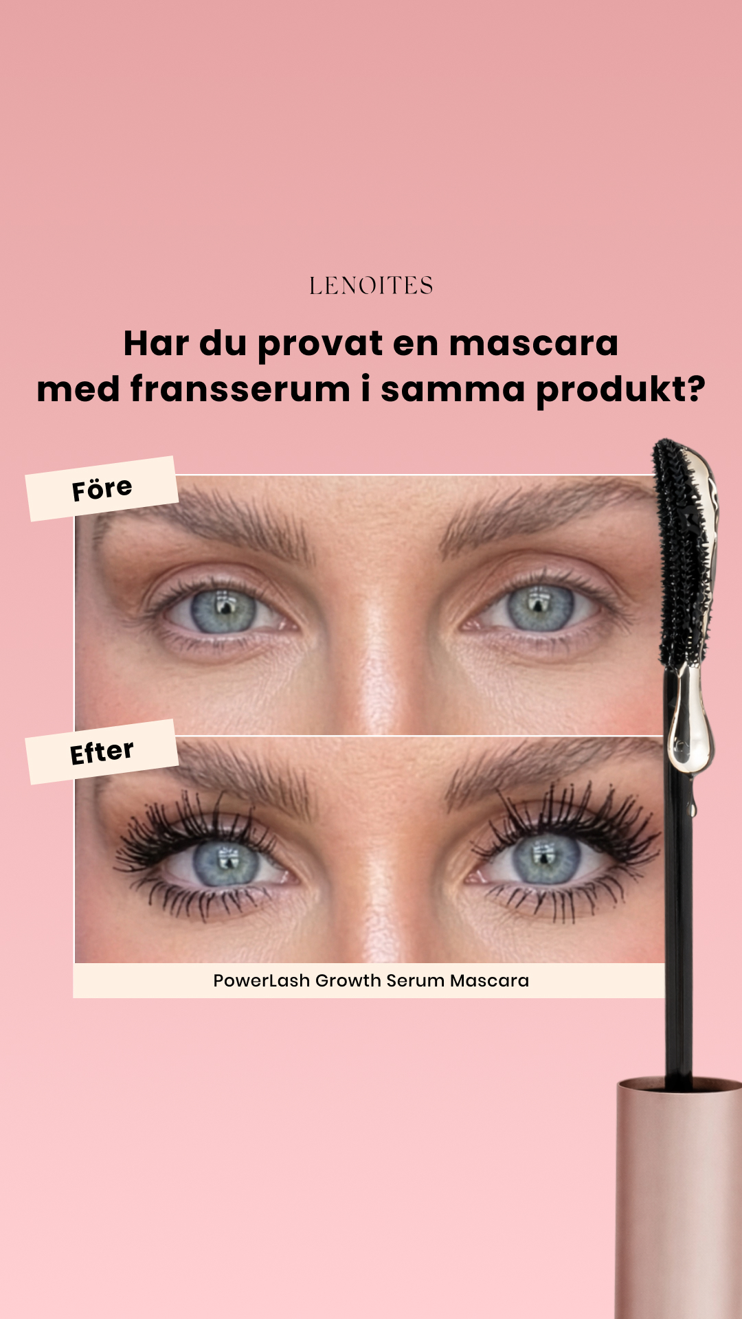 Lenoites Facebook ad