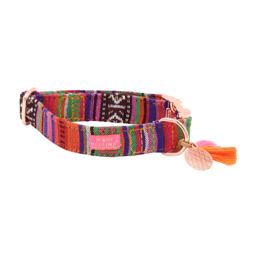 Pellina Dog Accessories Facebook ad