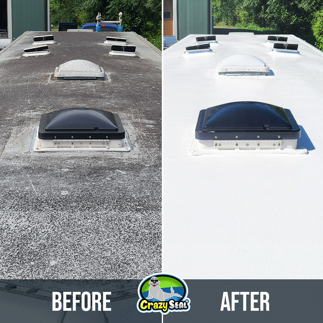 Crazy Seal Facebook ad: DIY Roofing Kits!