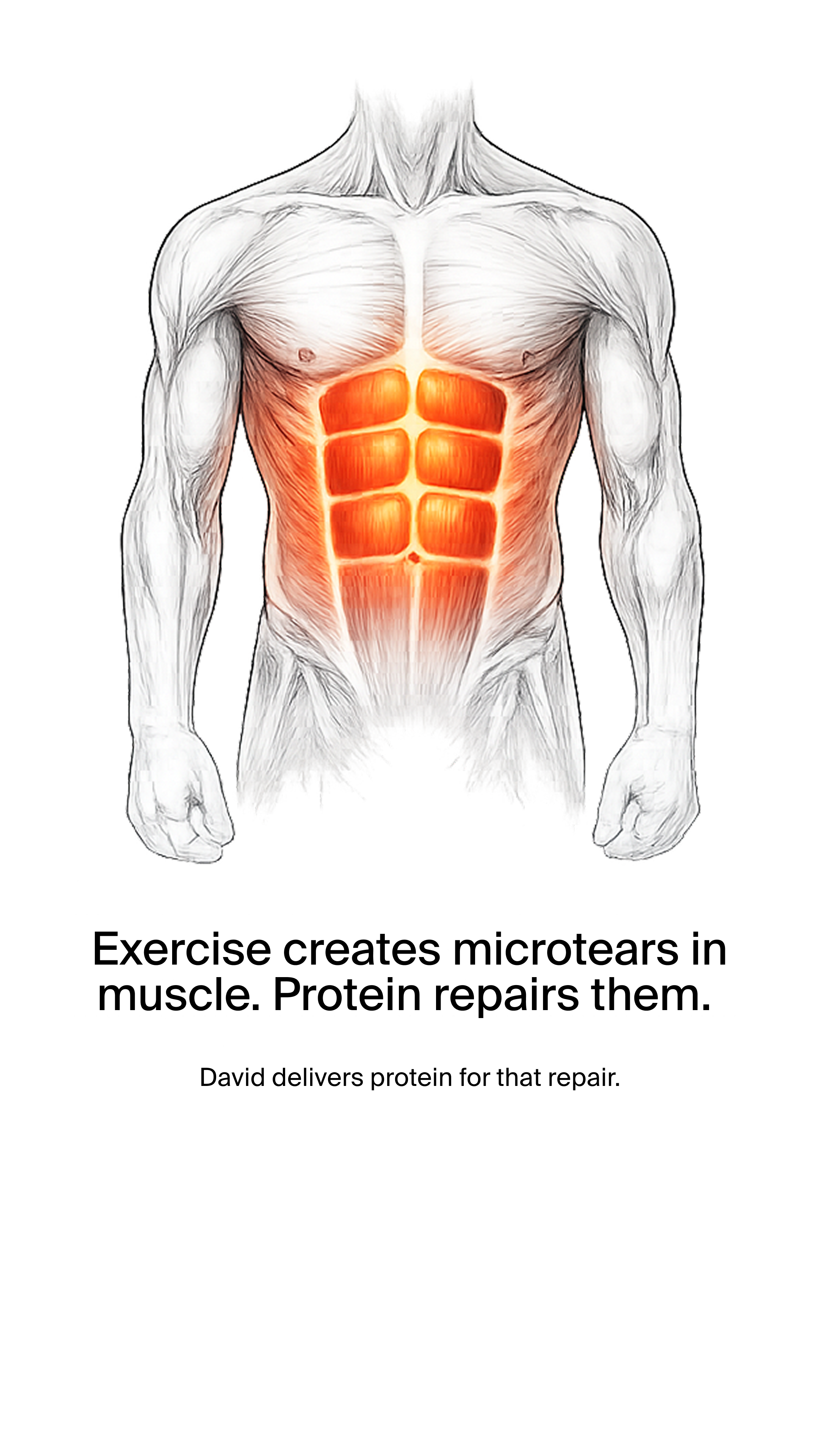 David Protein Facebook ad