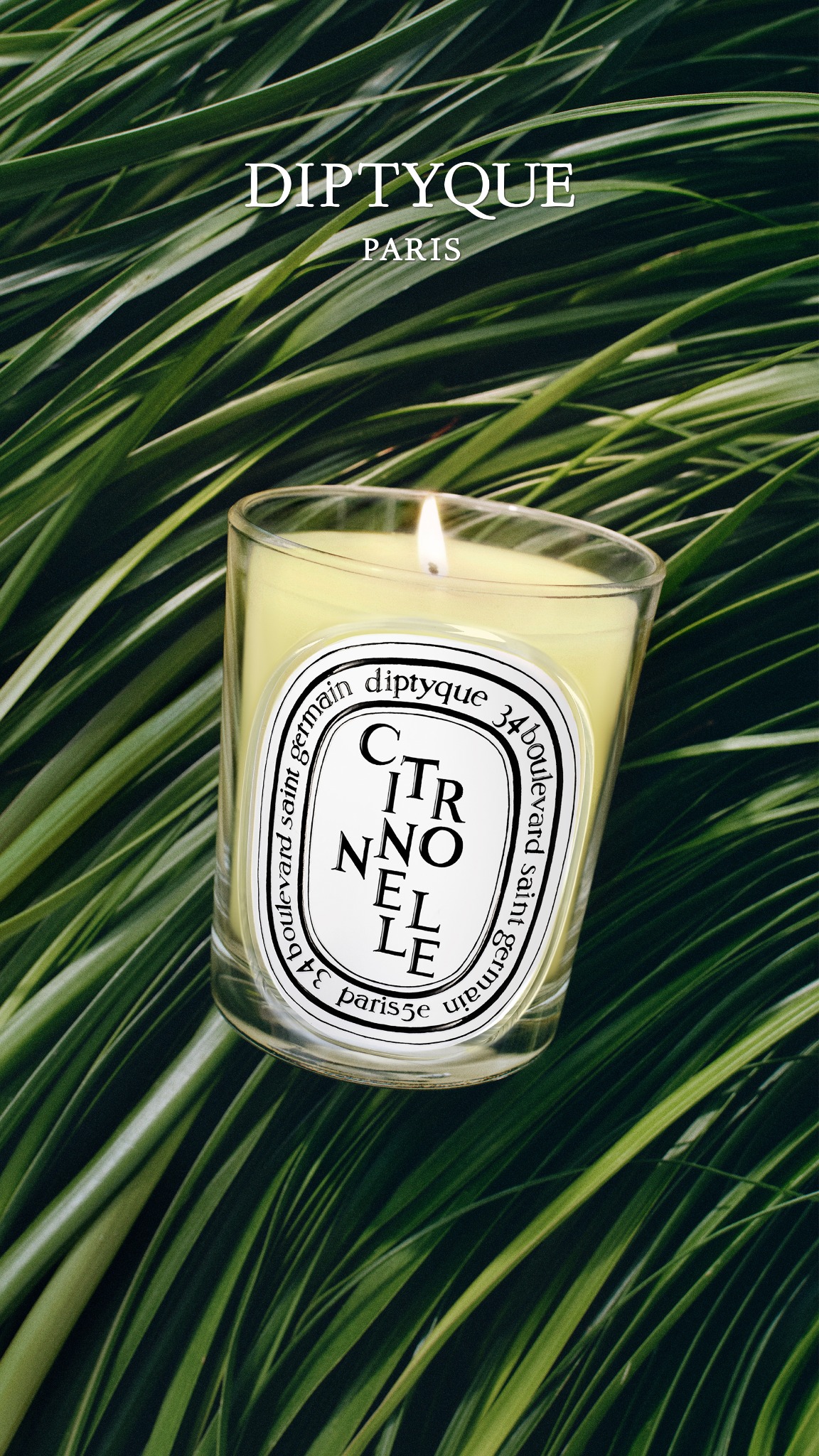 diptyque Facebook ad