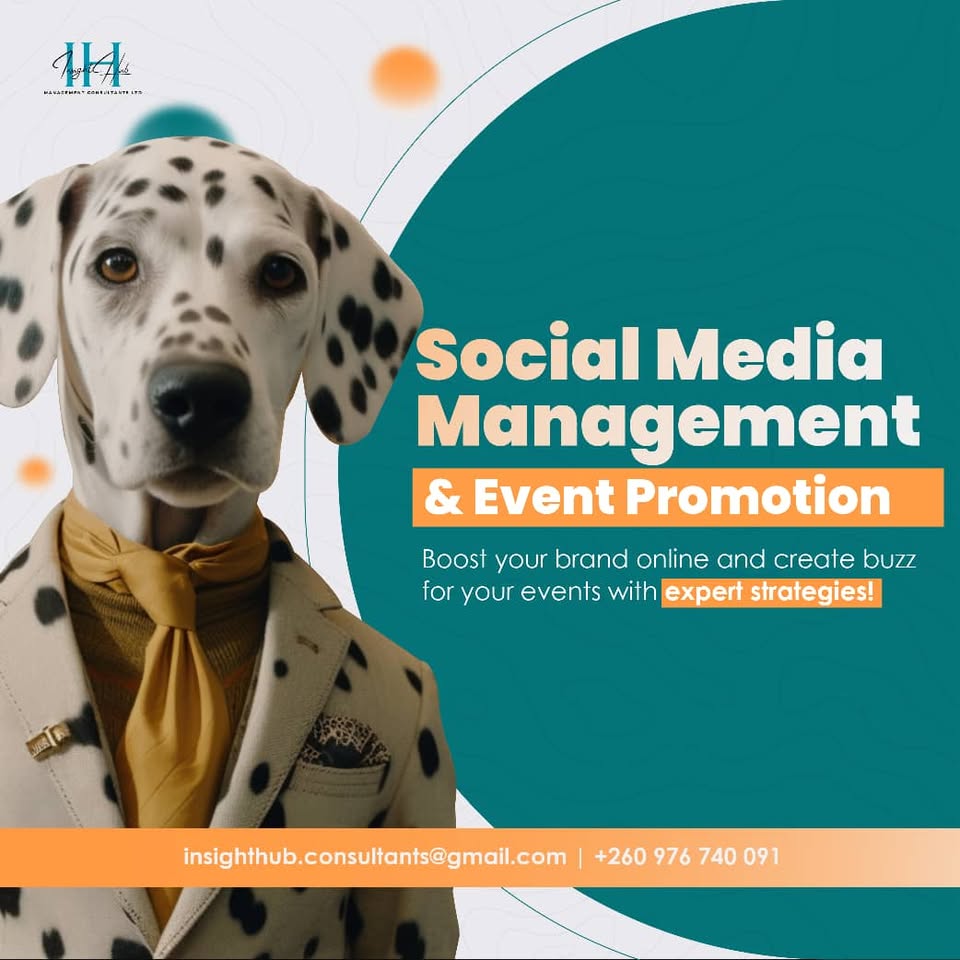Insight Hub Facebook ad: Ready to elevate your brand?