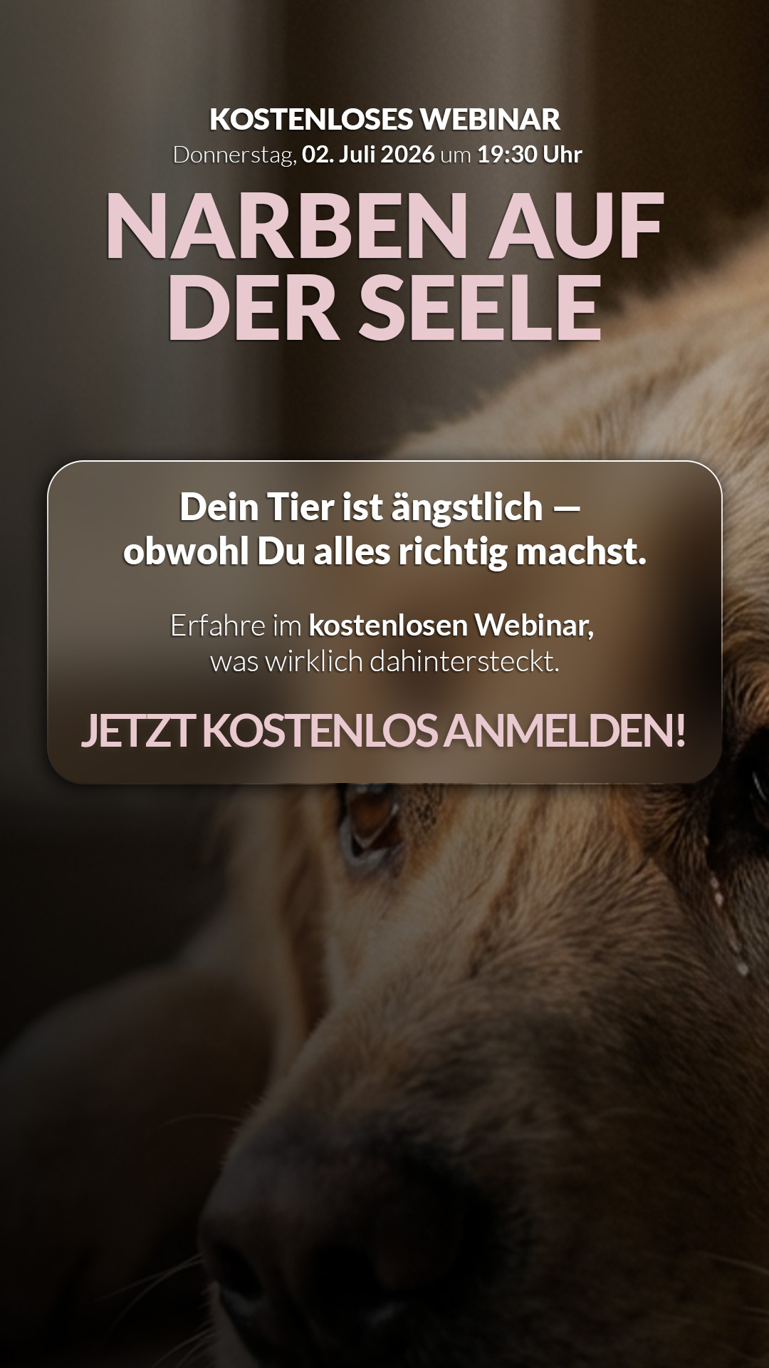 Tierkommunikation Lisa-Maria Kastenberger Facebook ad