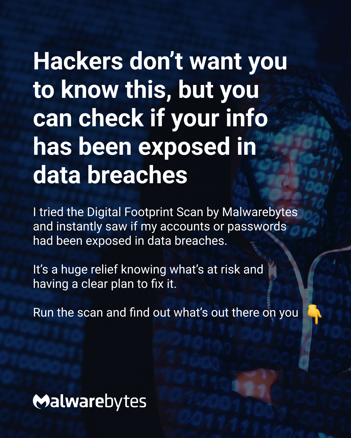 Malwarebytes Facebook ad