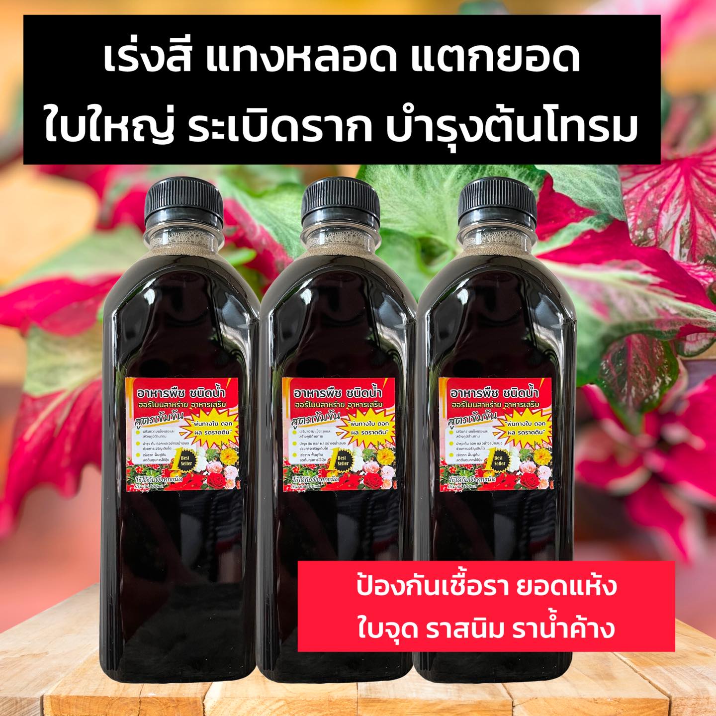 เกษตร อยู่อย่างพอเพียง Facebook ad: สวยยกสวนจ้า แนะนำเลย