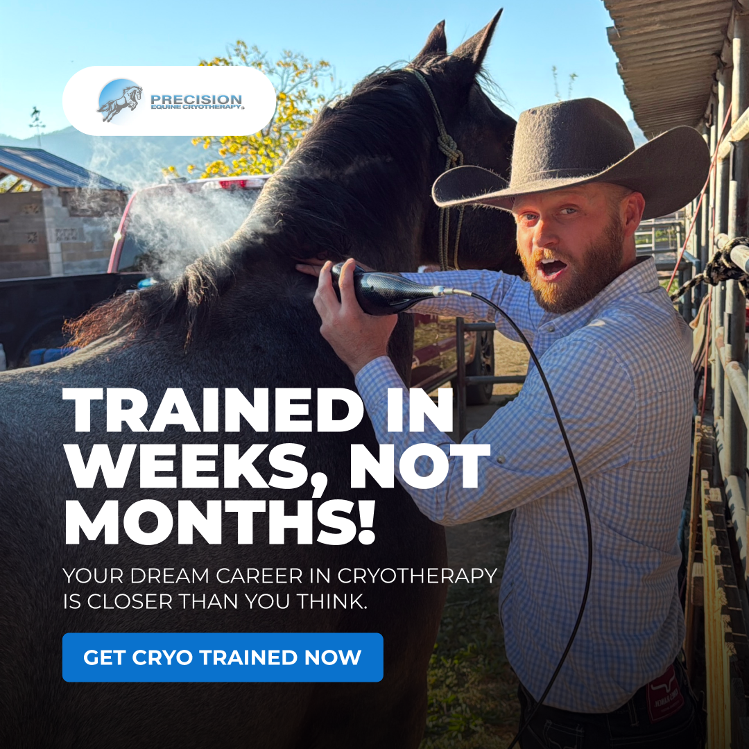 Precision Equine Cryotherapy Facebook ad: Make Horse Wellness A Priority