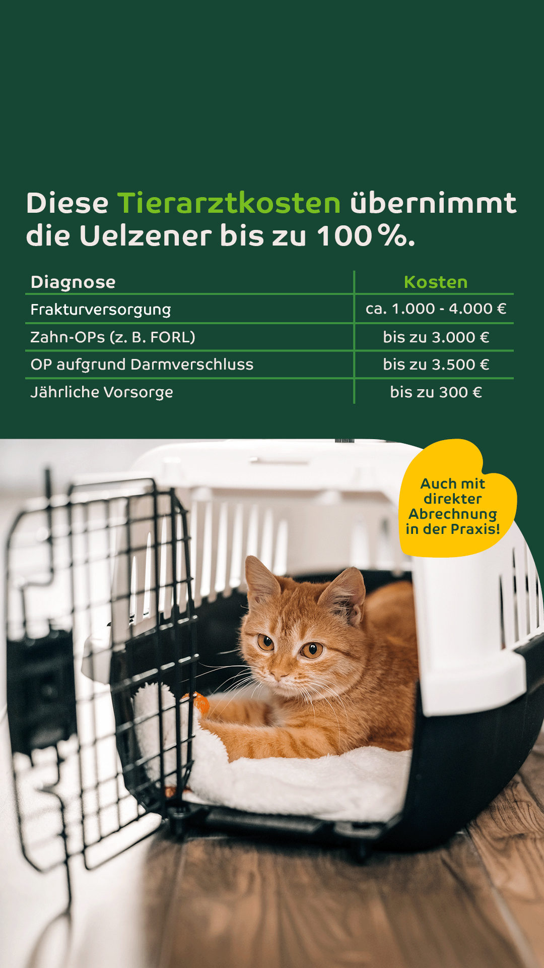 Uelzener Versicherungen Facebook ad: Uelzener Katzen-Versicherungen
