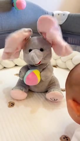The Familys Place Facebook ad: Peek-a-Boo Elephant: 50% OFF NOW!