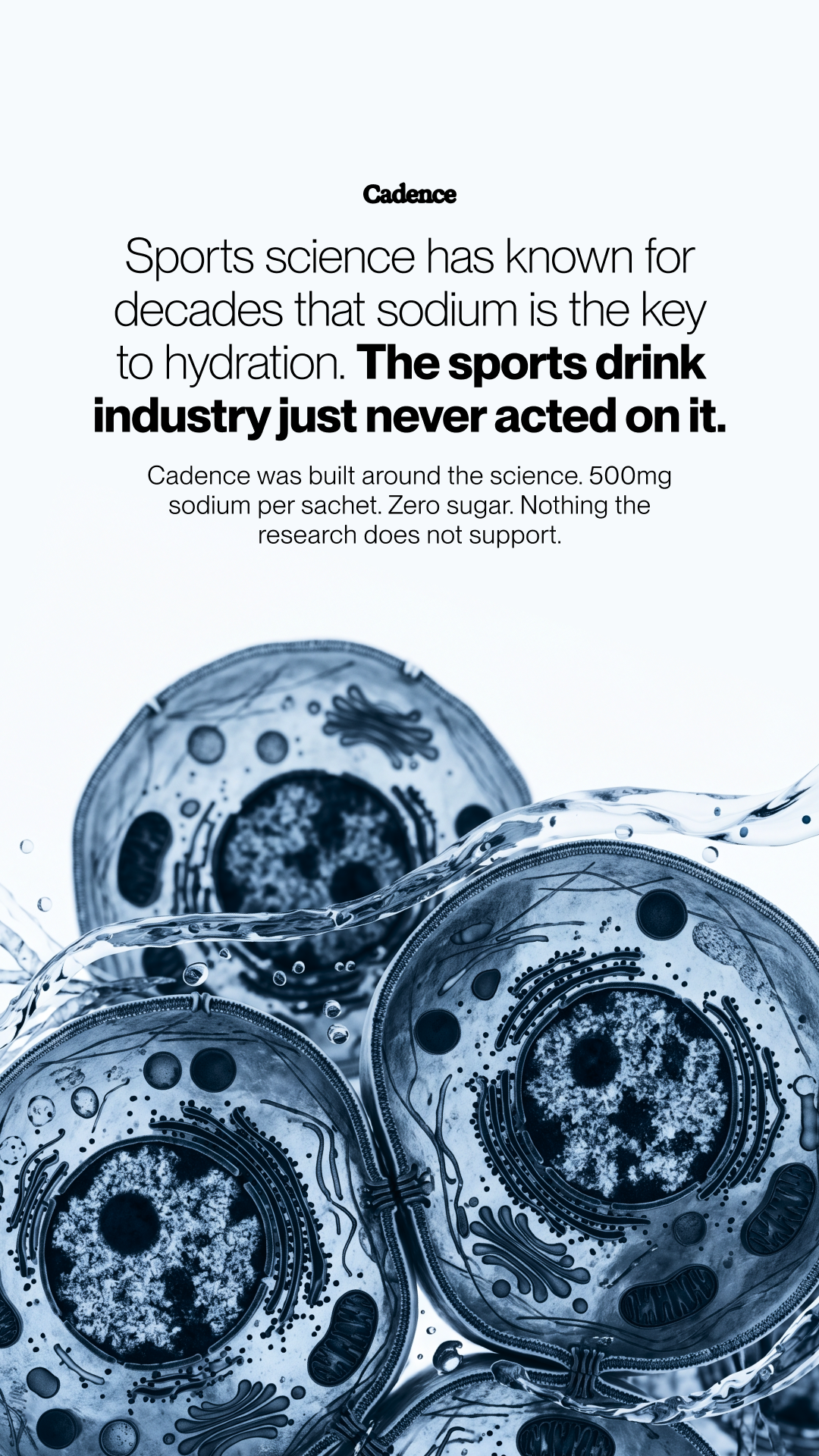 Use Cadence Facebook ad