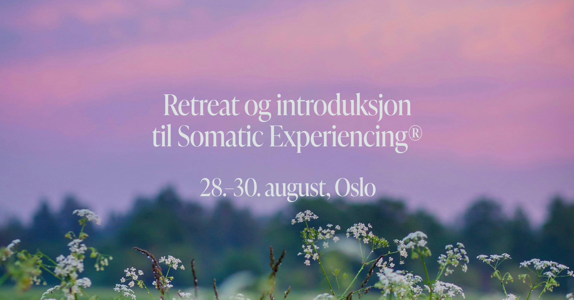 Somatic Experiencing Instituttet Norge DA Facebook ad: Retreat og introduksjon til Somatic Experiencing for leger…