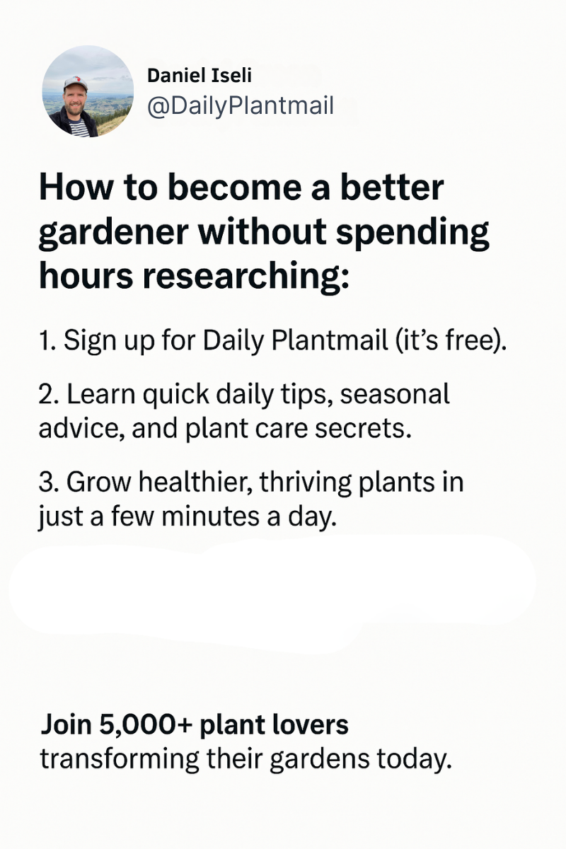 Plantophiles.com Facebook ad