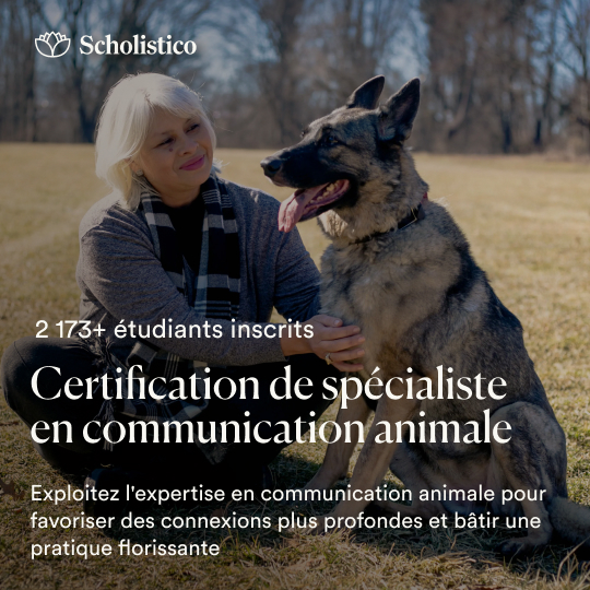 Scholistico en Français Facebook ad from Aug 13, 2026
