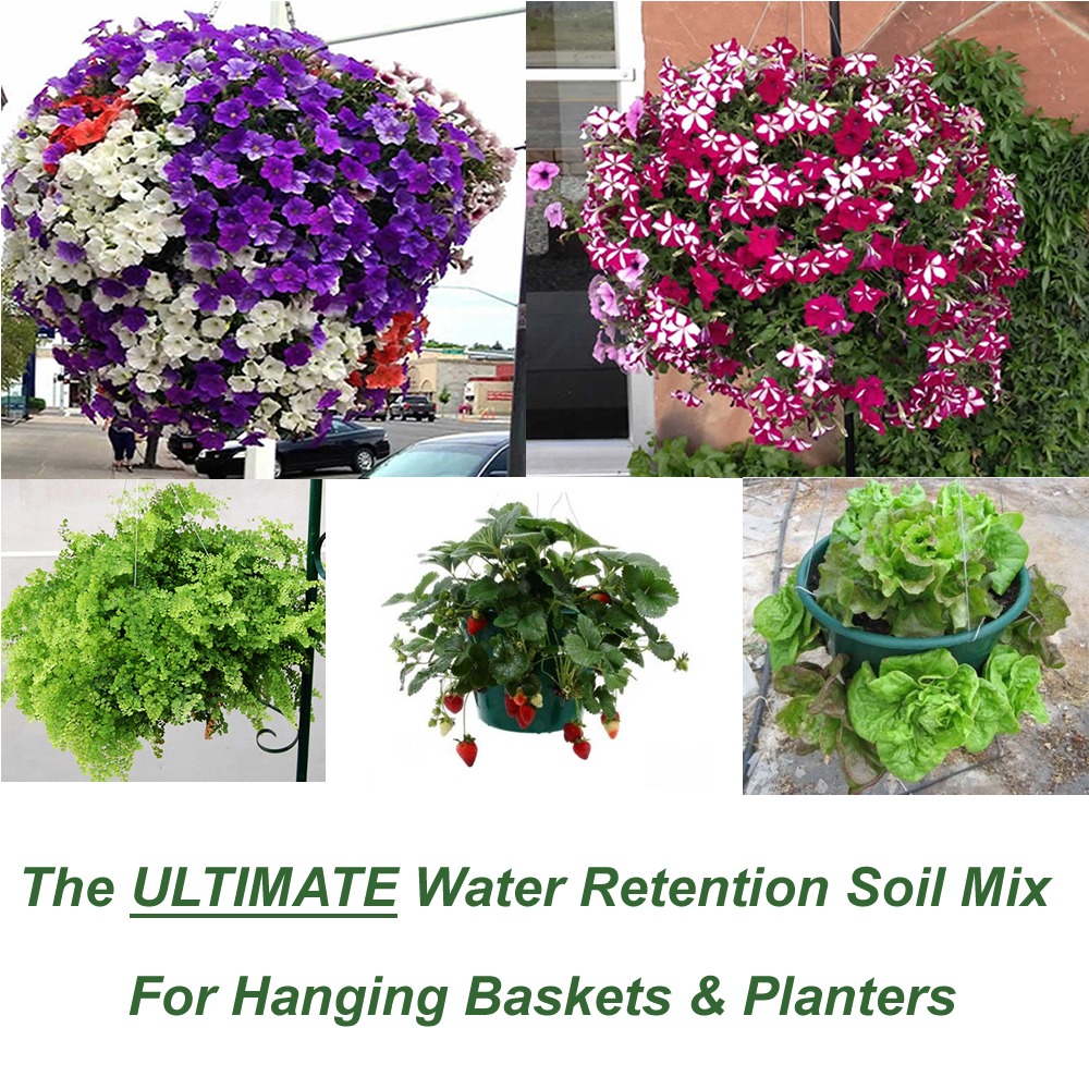 True Leaf Market Facebook ad: Are you TIRED of your gorgeous HANGING BASKETS…