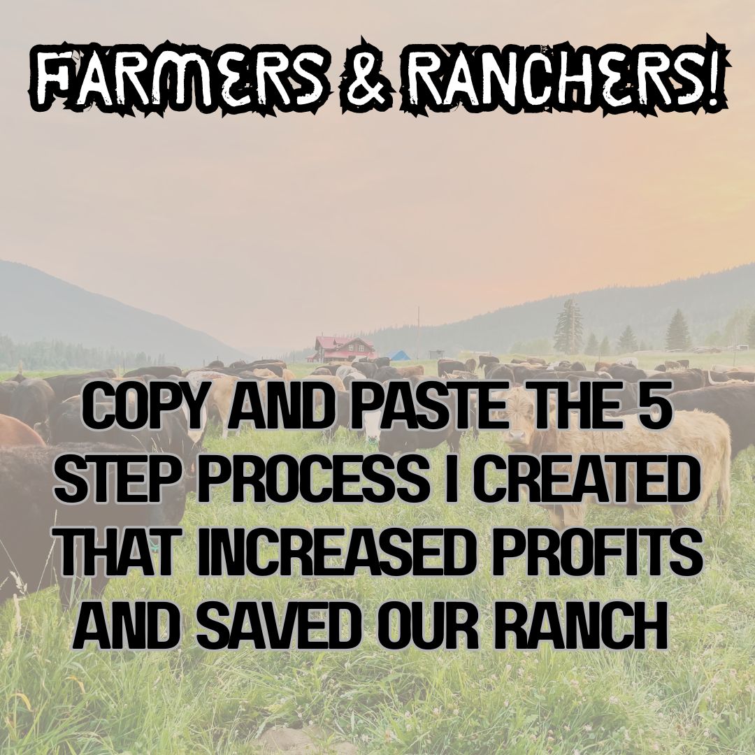 Sell Beef Direct Facebook ad