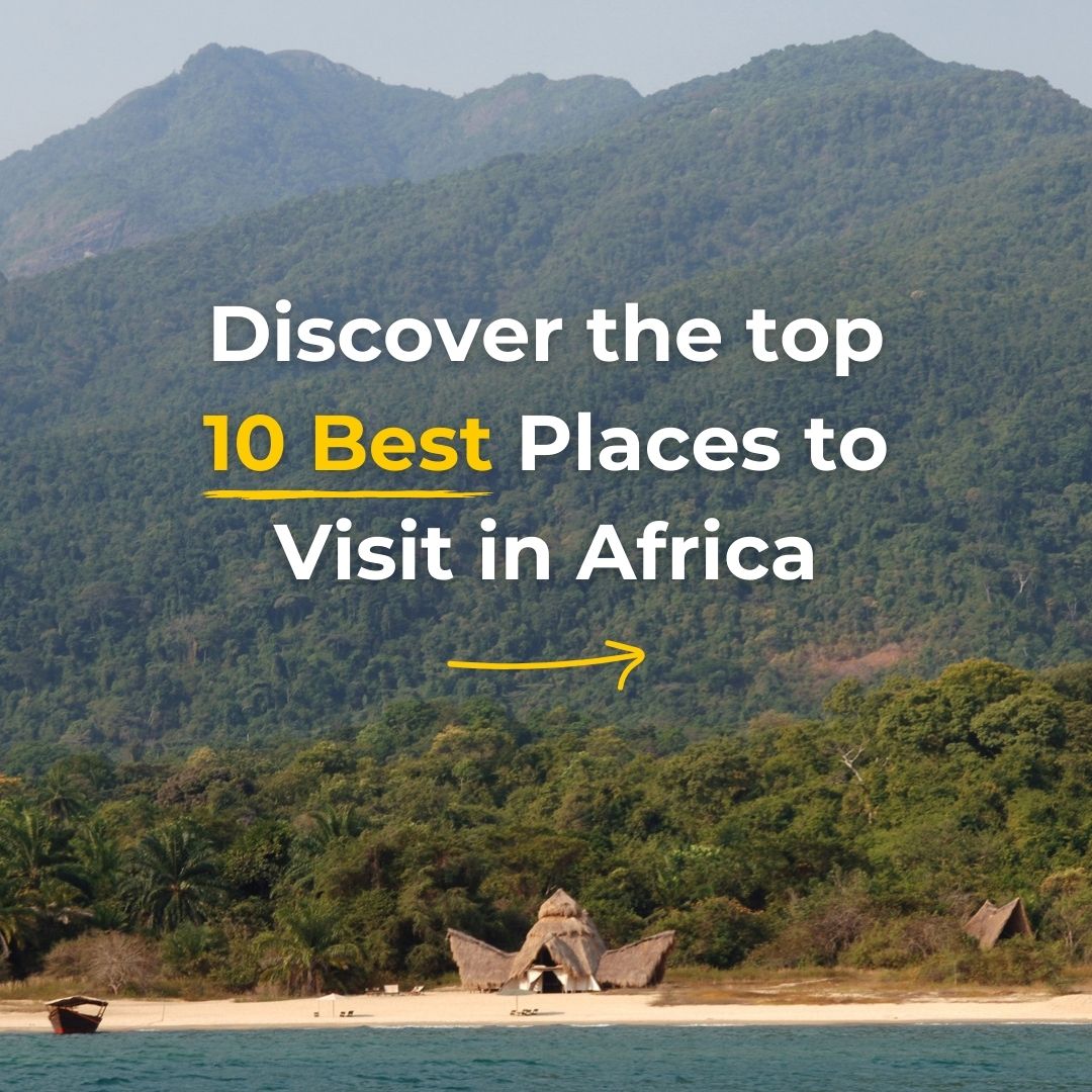 Yellow Zebra Safaris Facebook ad: The best of Africa, handpicked for you.