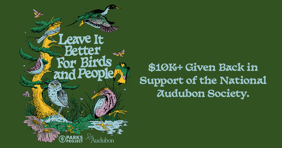 Parks Project Facebook ad