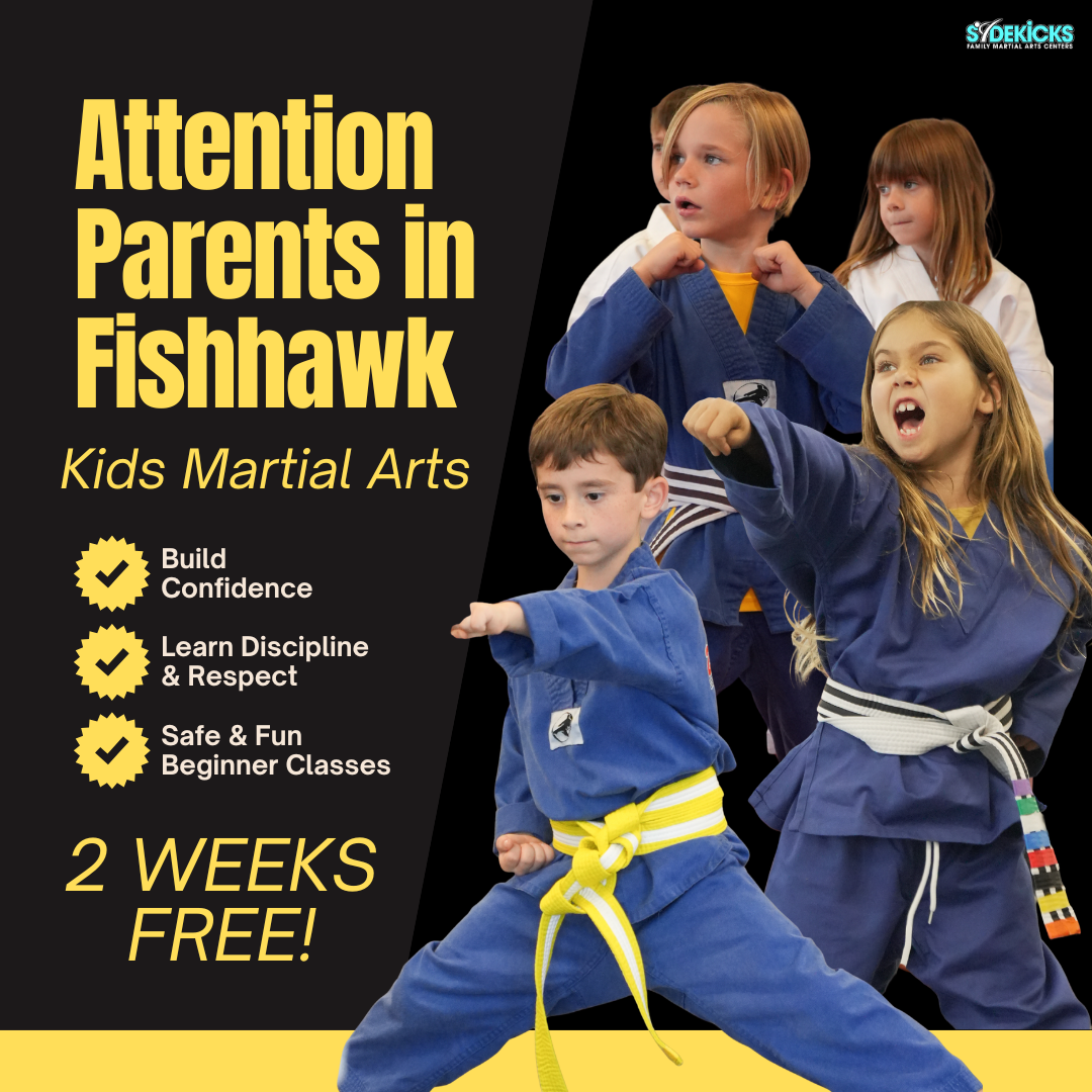 Sidekicks Family Martial Arts Center Facebook ad