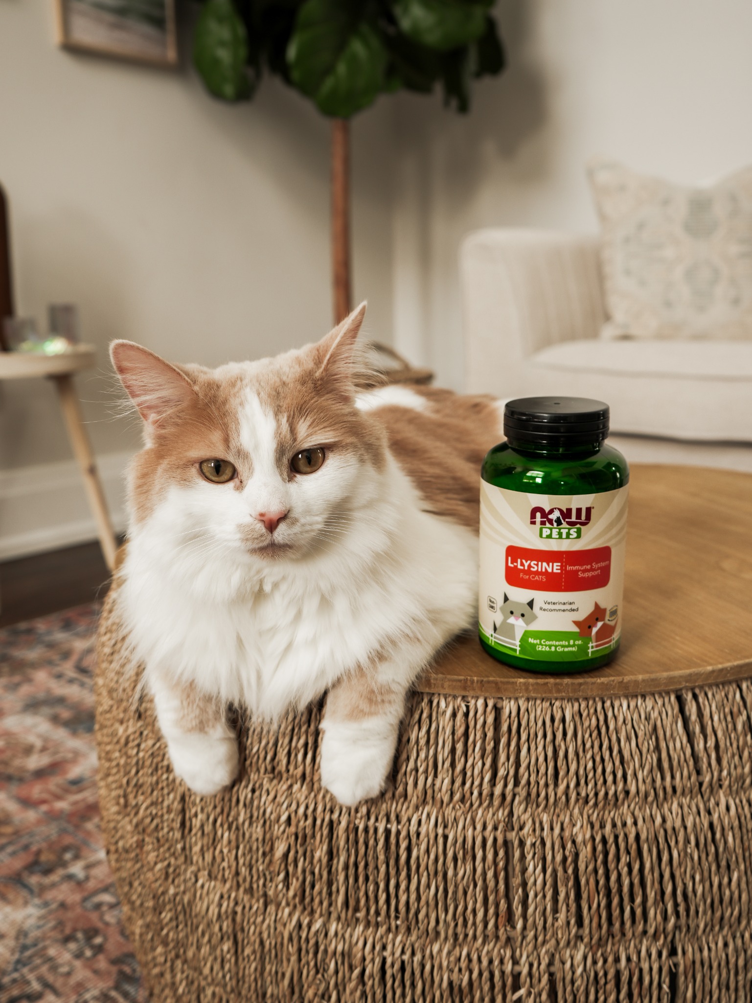 NOW Foods Facebook ad