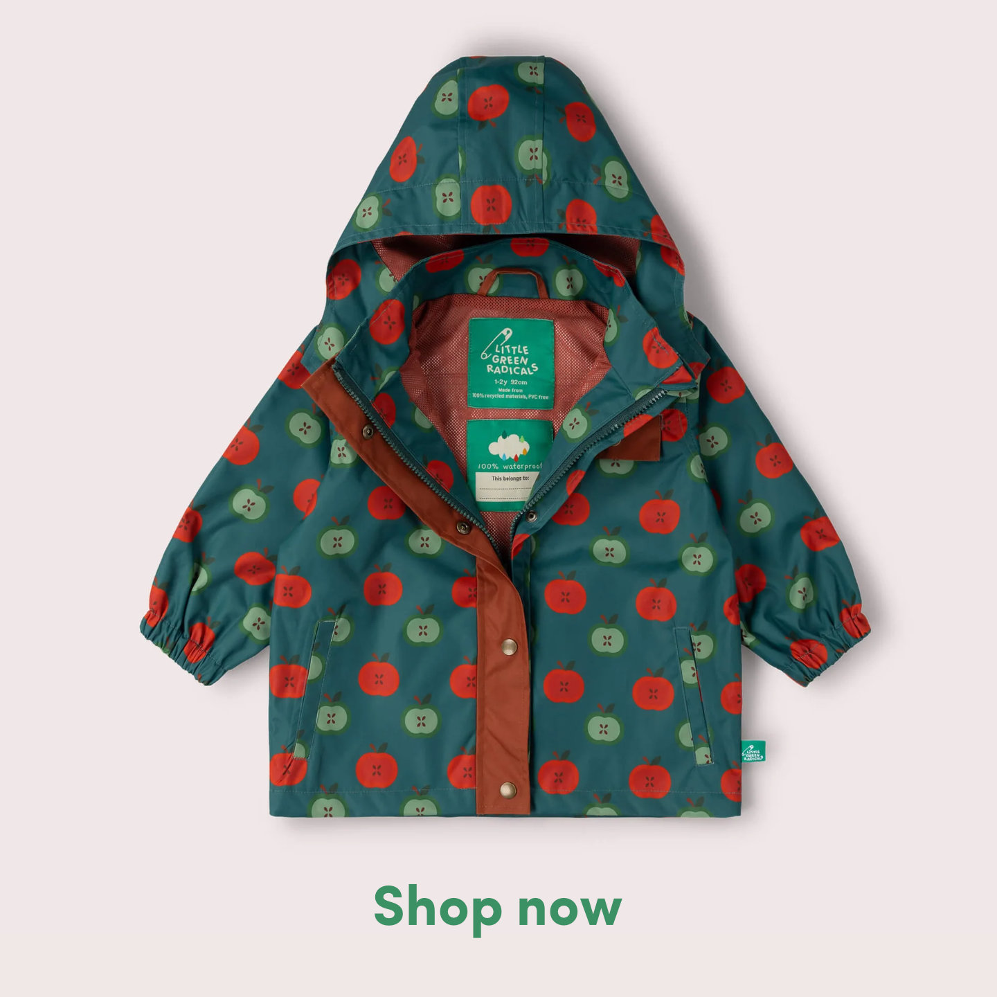 Little Green Radicals Facebook ad: New Term - New Adventures