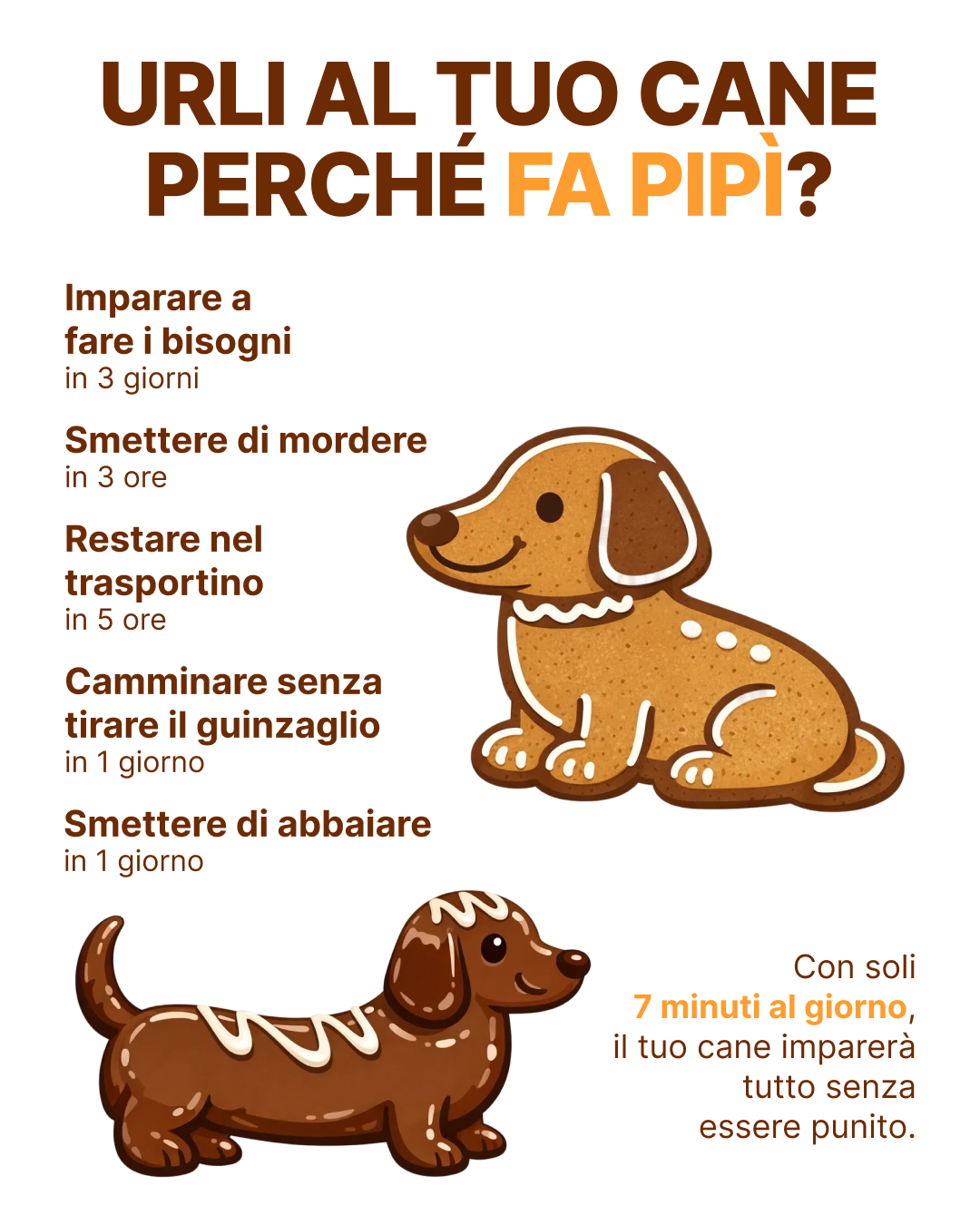 Ben Your Puppy Trainer Facebook ad