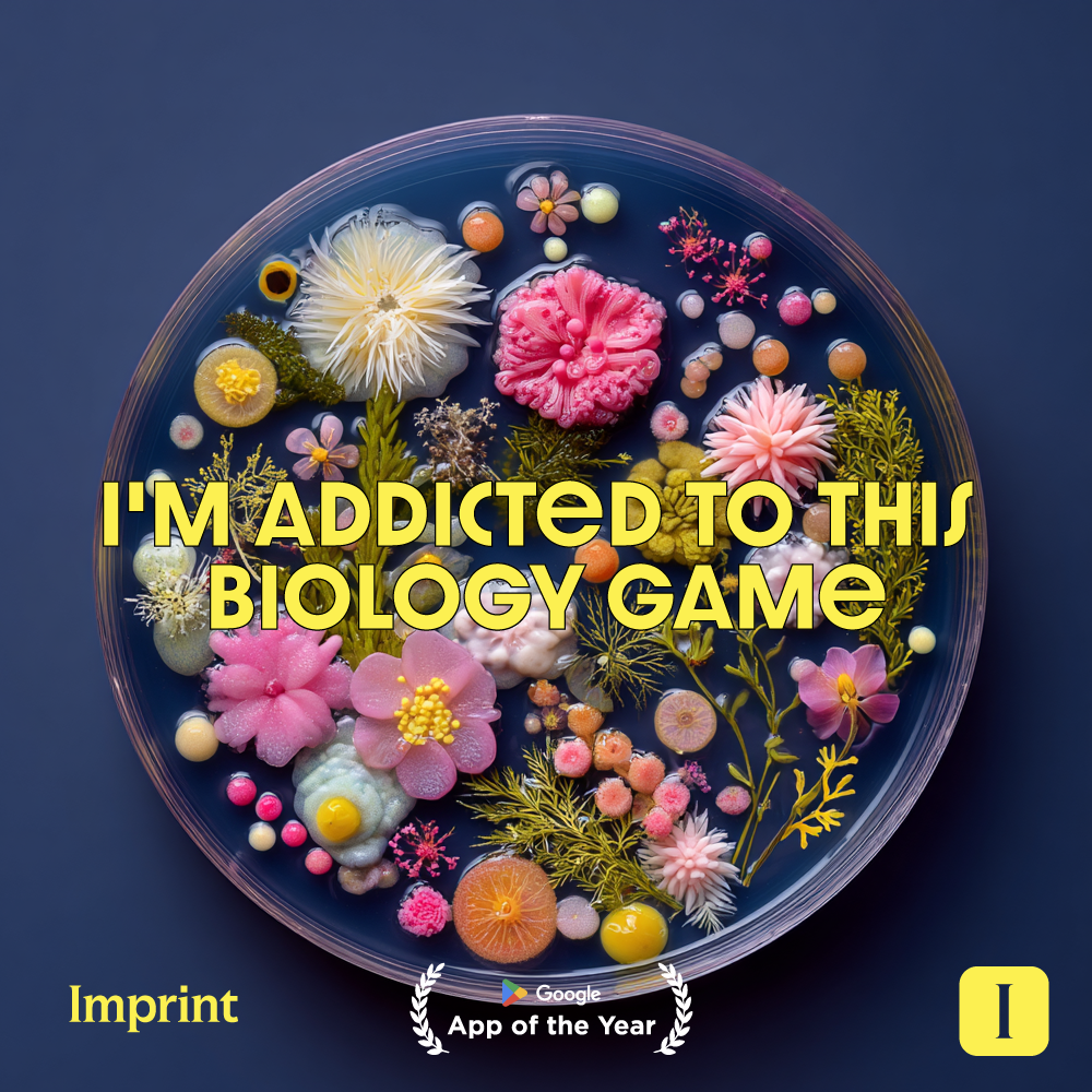Imprint: Learn Visually Facebook ad