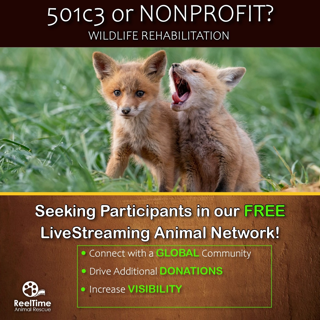 ReelTime Animal Rescue, LLC Facebook ad