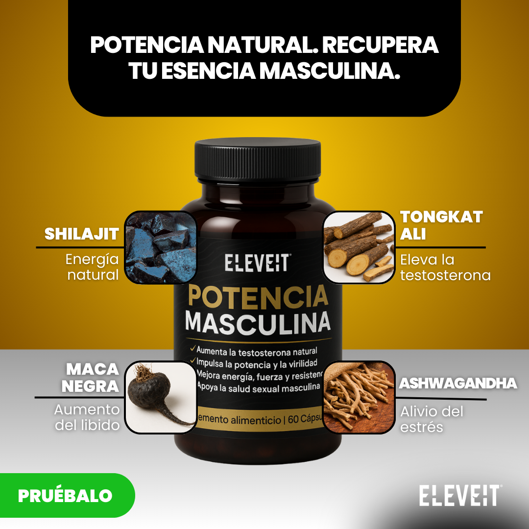 Eleveit MX Facebook ad