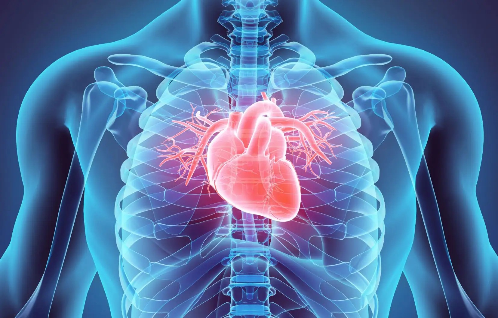 Biodétox Facebook ad: 𝙇𝘼 𝙎𝘼𝙉𝙏𝙀́ 𝘾𝘼𝙍𝘿𝙄𝙊𝙑𝘼𝙎𝘾𝙐𝙇𝘼𝙄𝙍𝙀