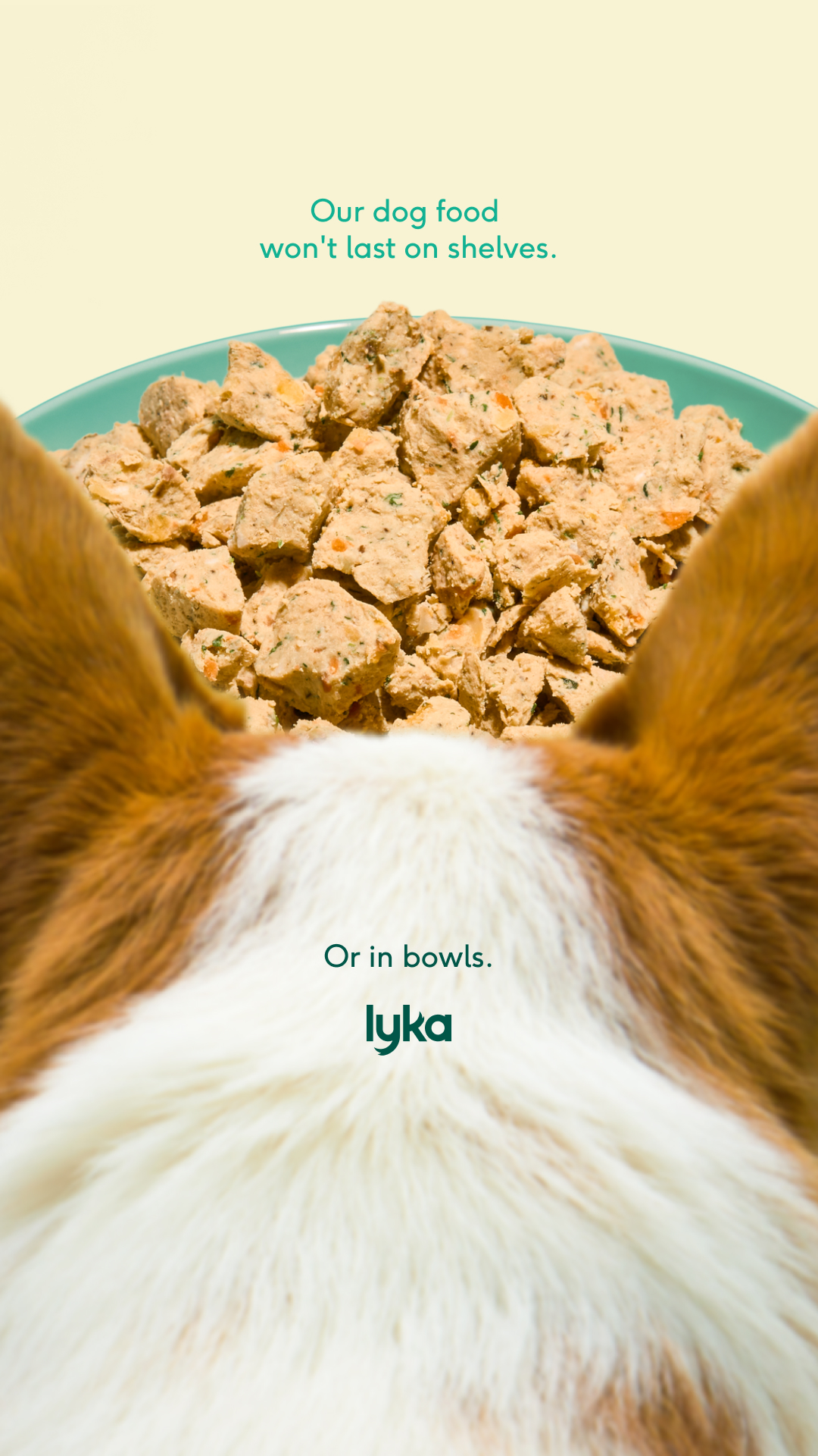 Lyka Pet Food Facebook ad