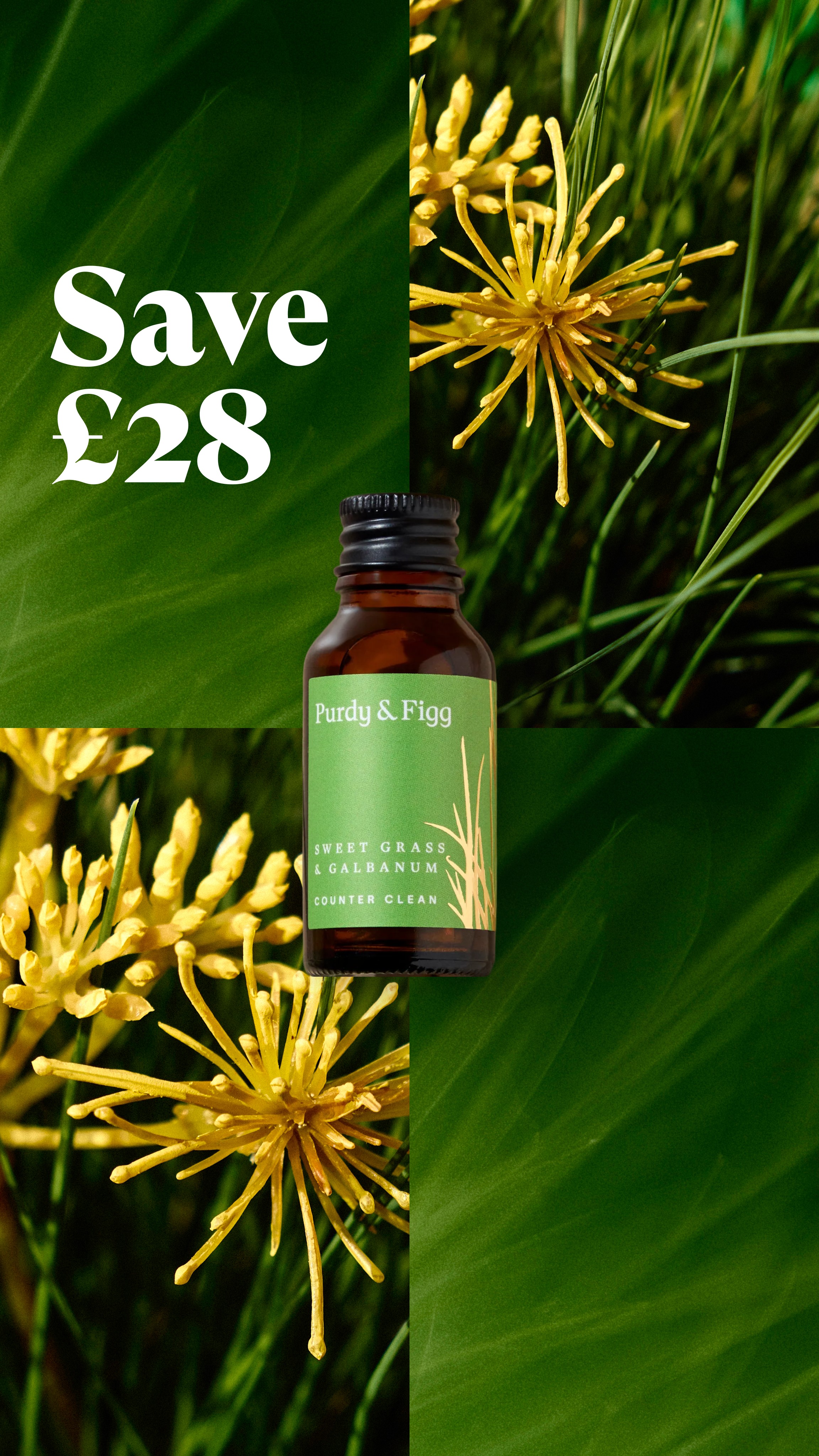 Purdy & Figg Facebook ad
