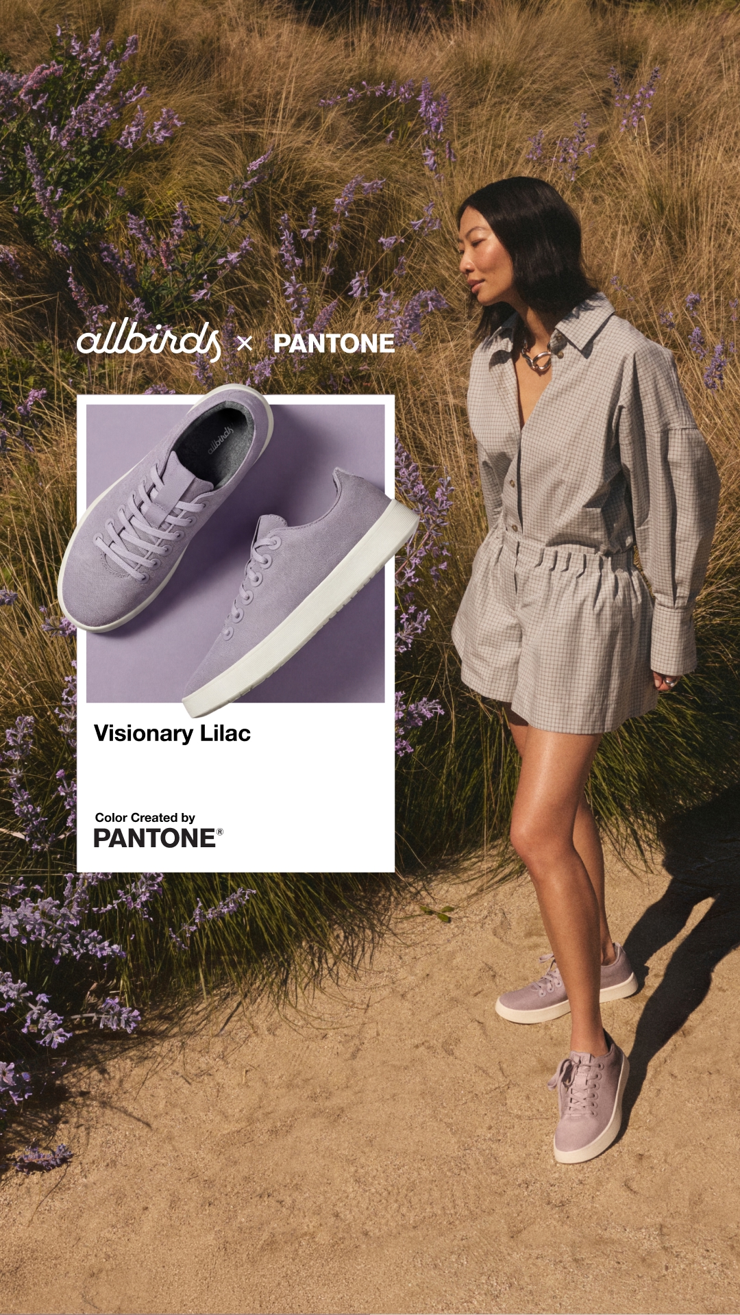Allbirds Facebook ad