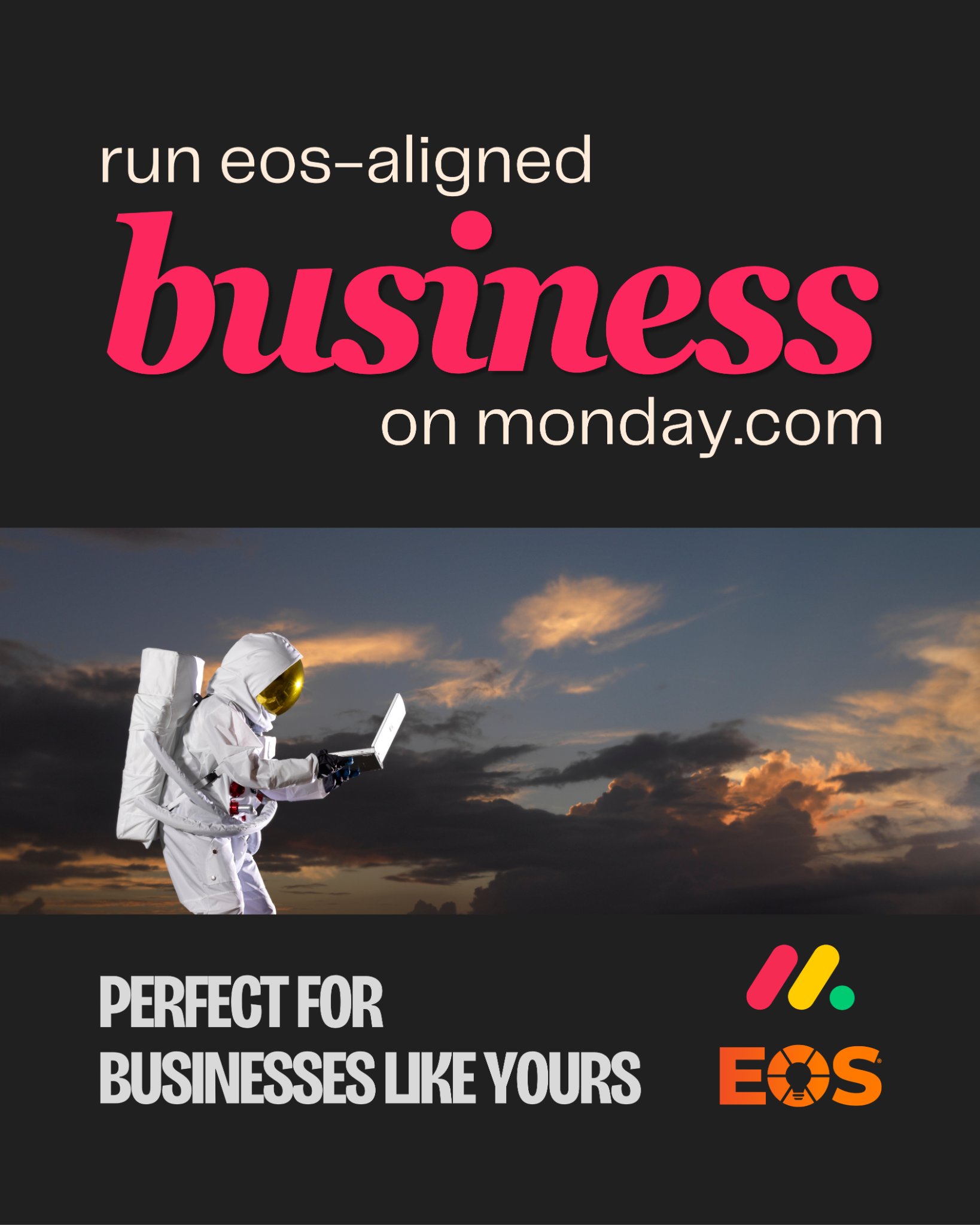 Camel Tech Facebook ad: Stop using disconnected tool. Run your company with EOS in…