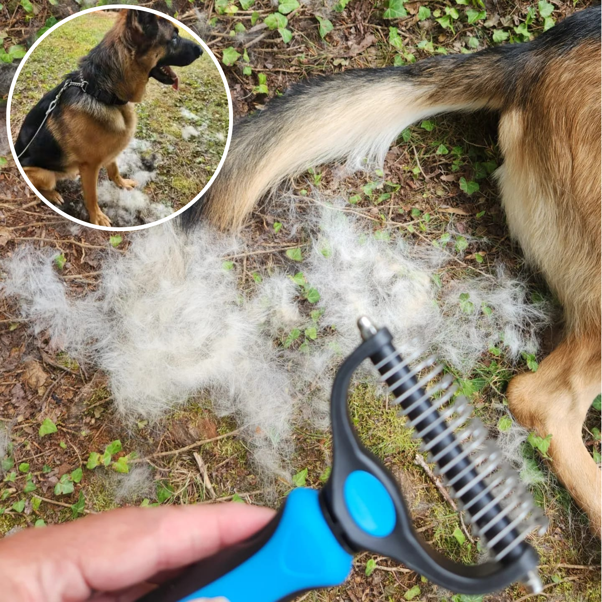 NuewayPets Facebook ad