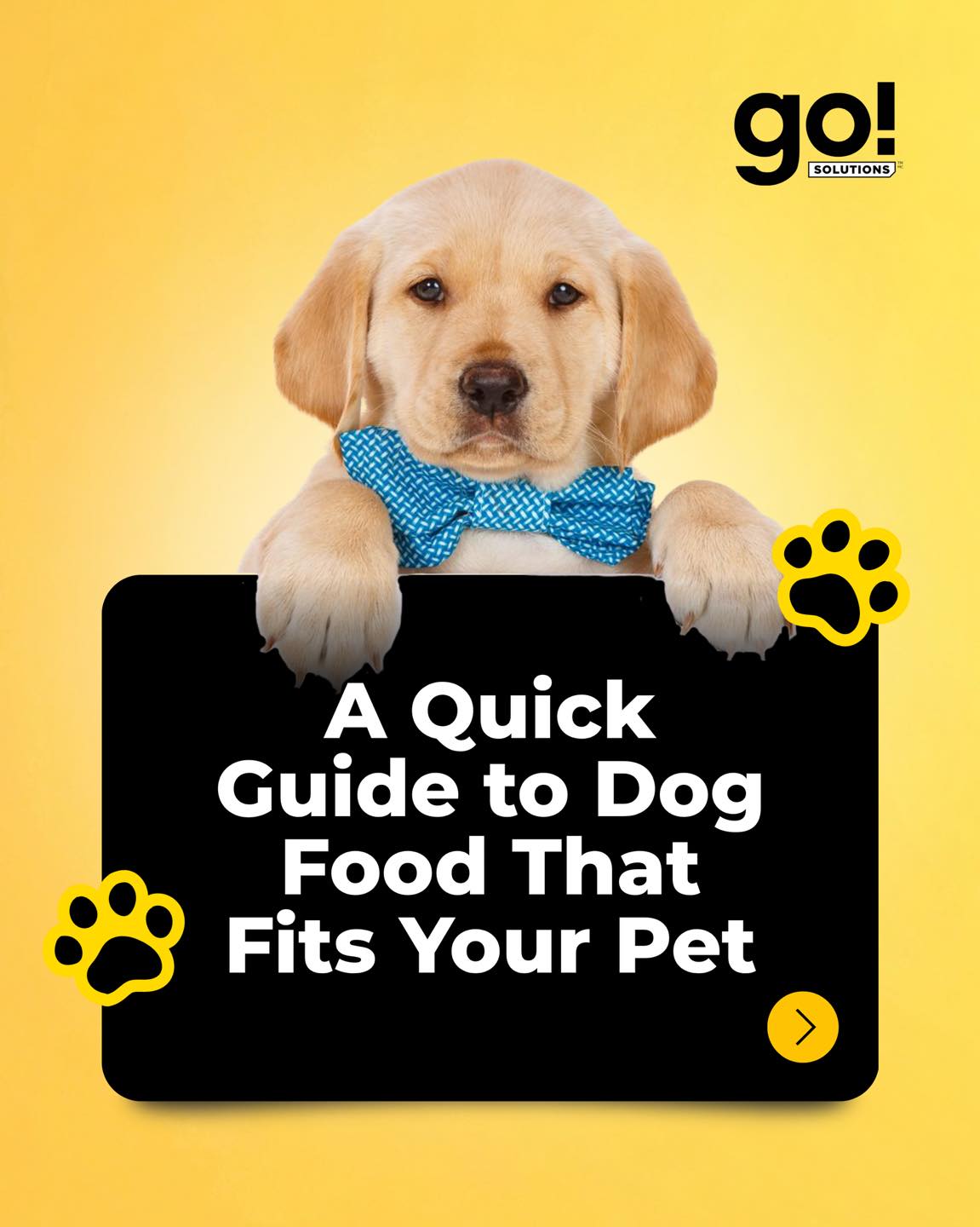 Go Solutions Philippines Facebook ad: Find the Perfect Fit for Your Pet!