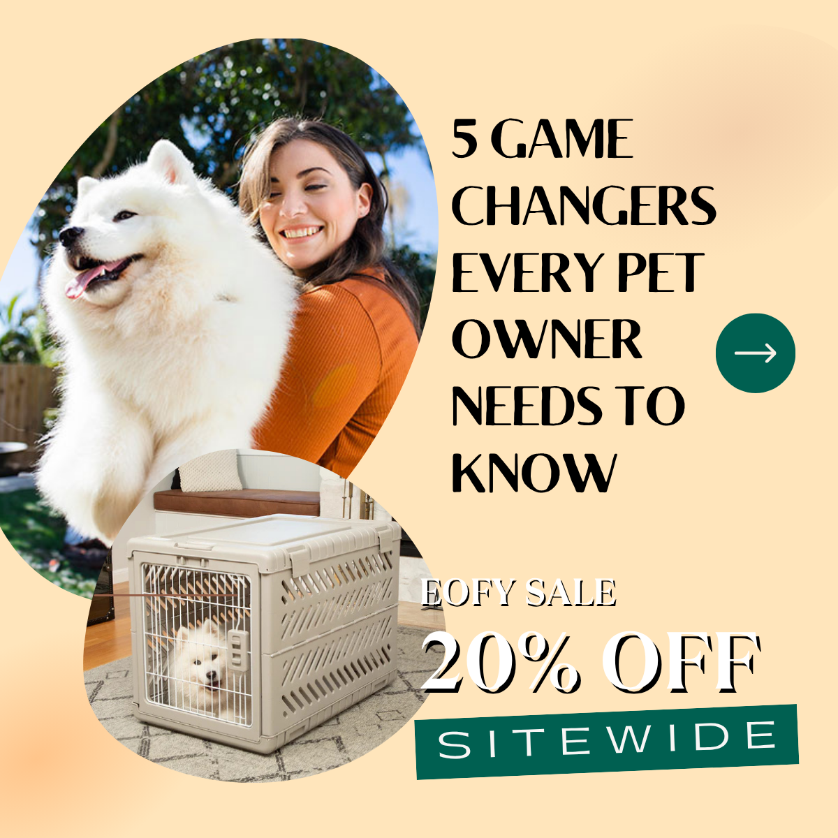 Hakuna Pets Facebook ad