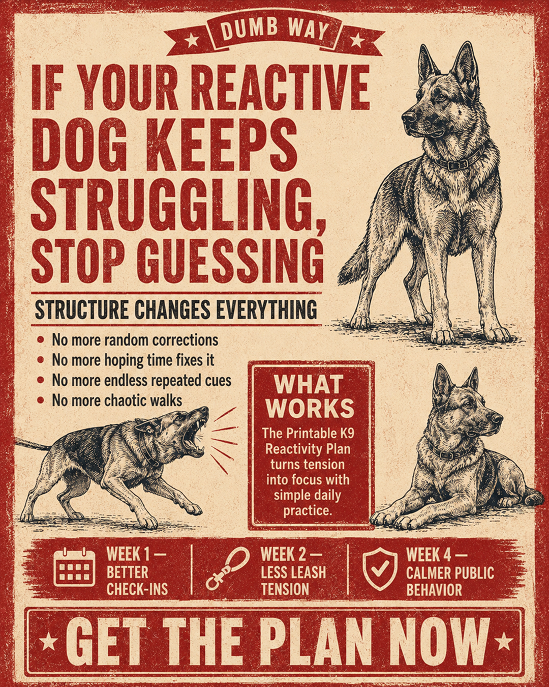 1st Dog Training Club Facebook ad