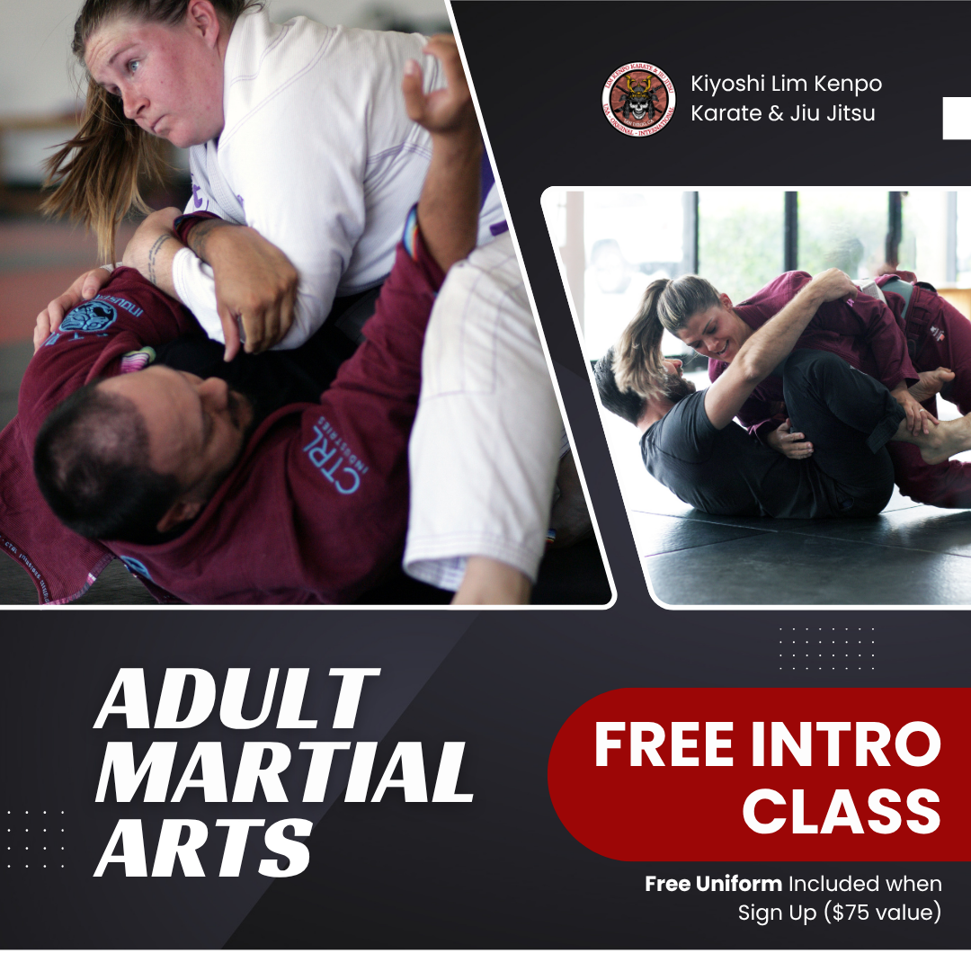 Kiyoshi Karate & Brazilian Jiu Jitsu - San Diego/ Lim Family Martial Arts Facebook ad: Learn Real Skills. Join Free Intro Class Now
