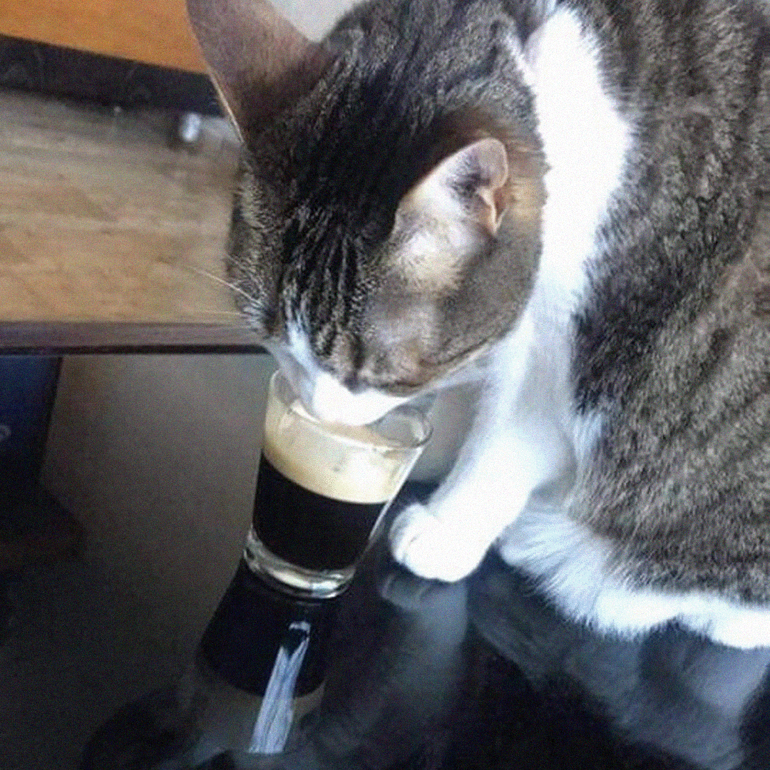 Cat Wellness Journal Facebook ad