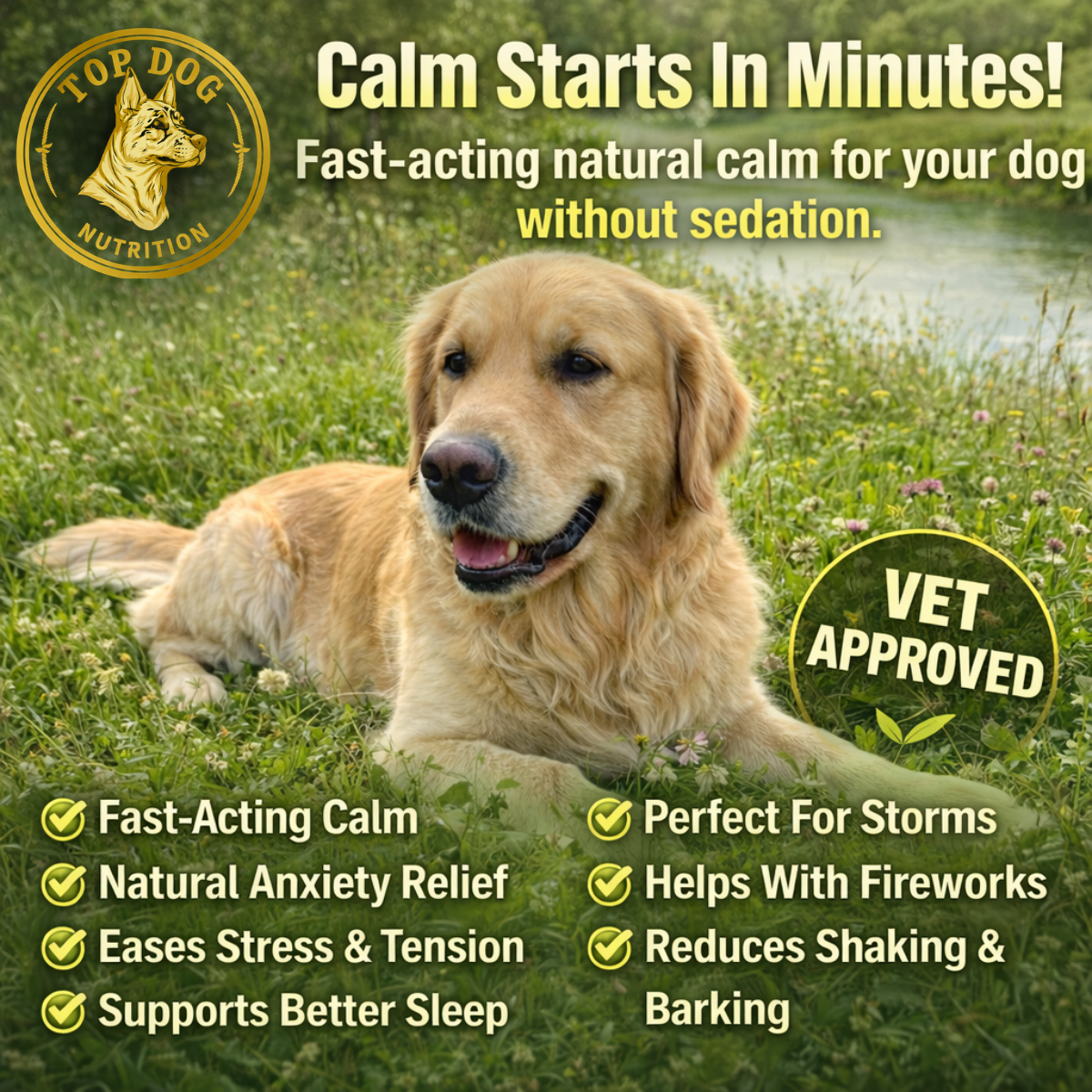 Top dog nutrition Facebook ad: Calm Starts In Minutes